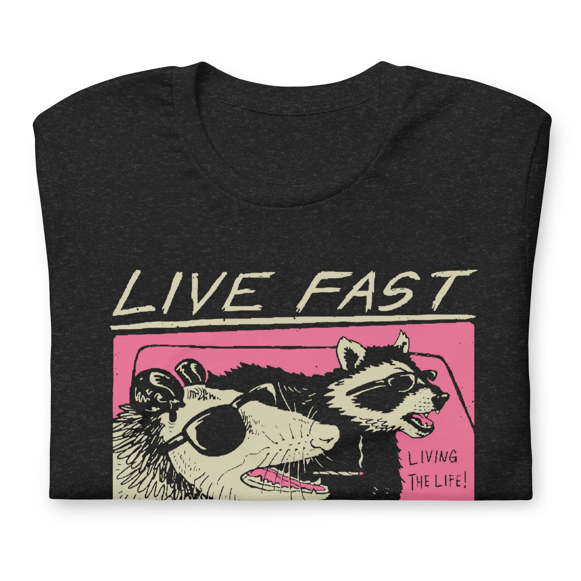 Live Fast, Eat Trash