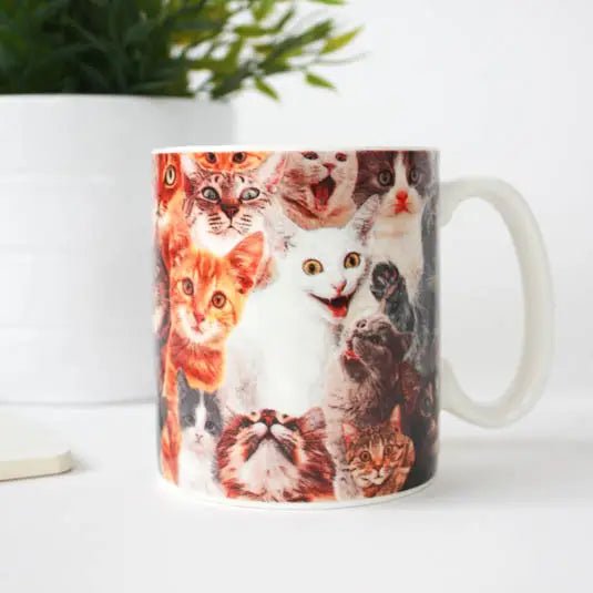 Crazy Cat Mug - DickAtYourDoor