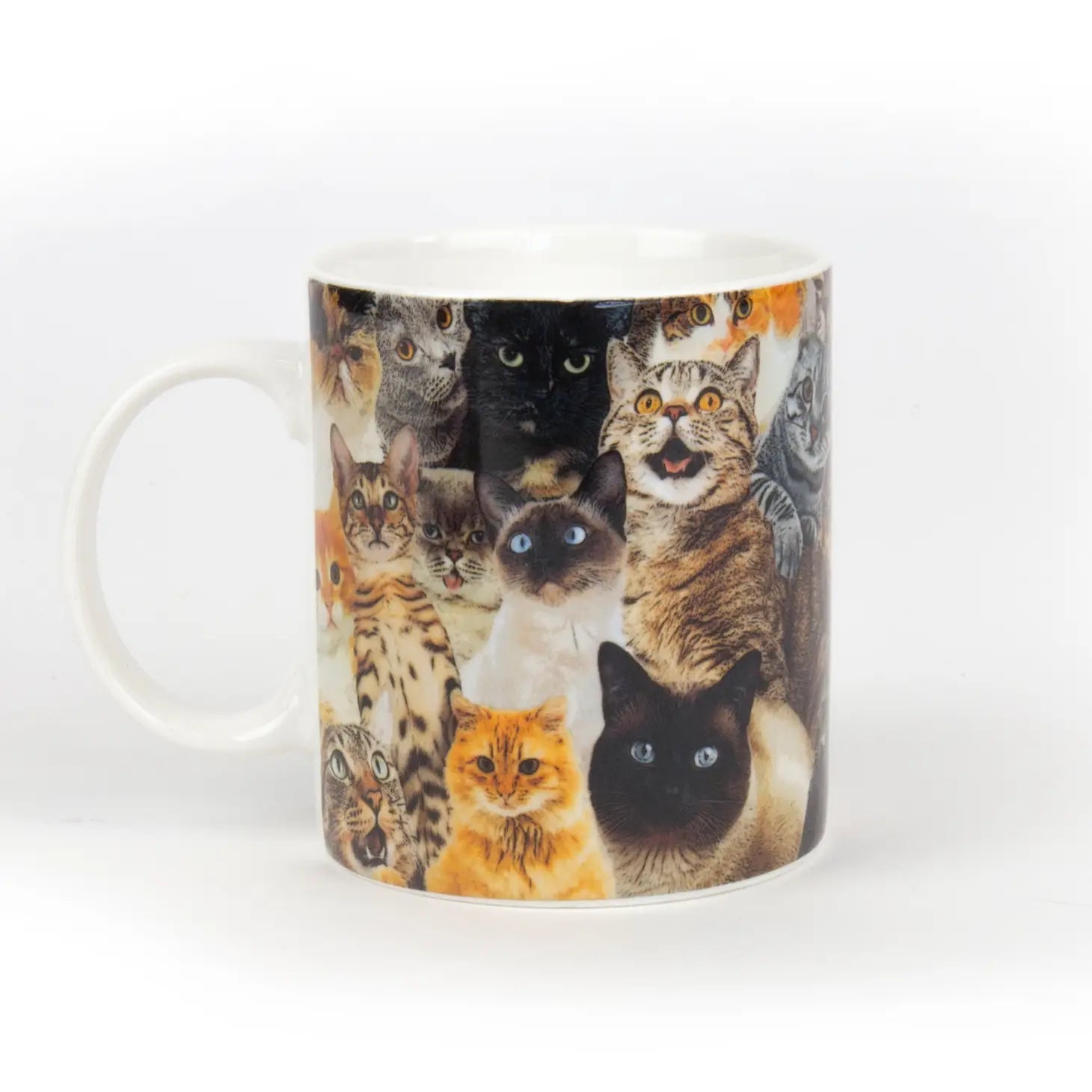 Crazy Cat Mug - DickAtYourDoor