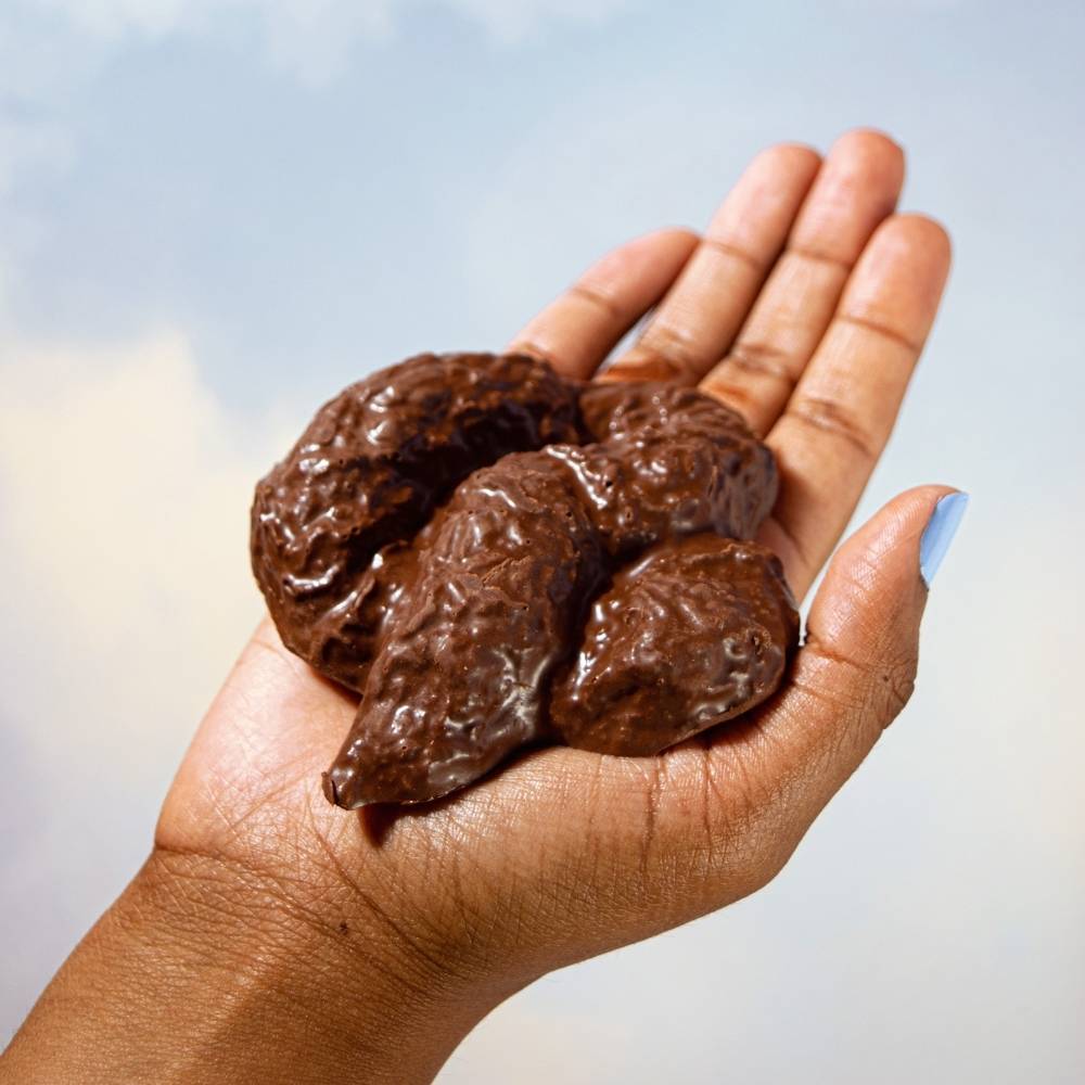 Send A Chocolate Turd in a Box