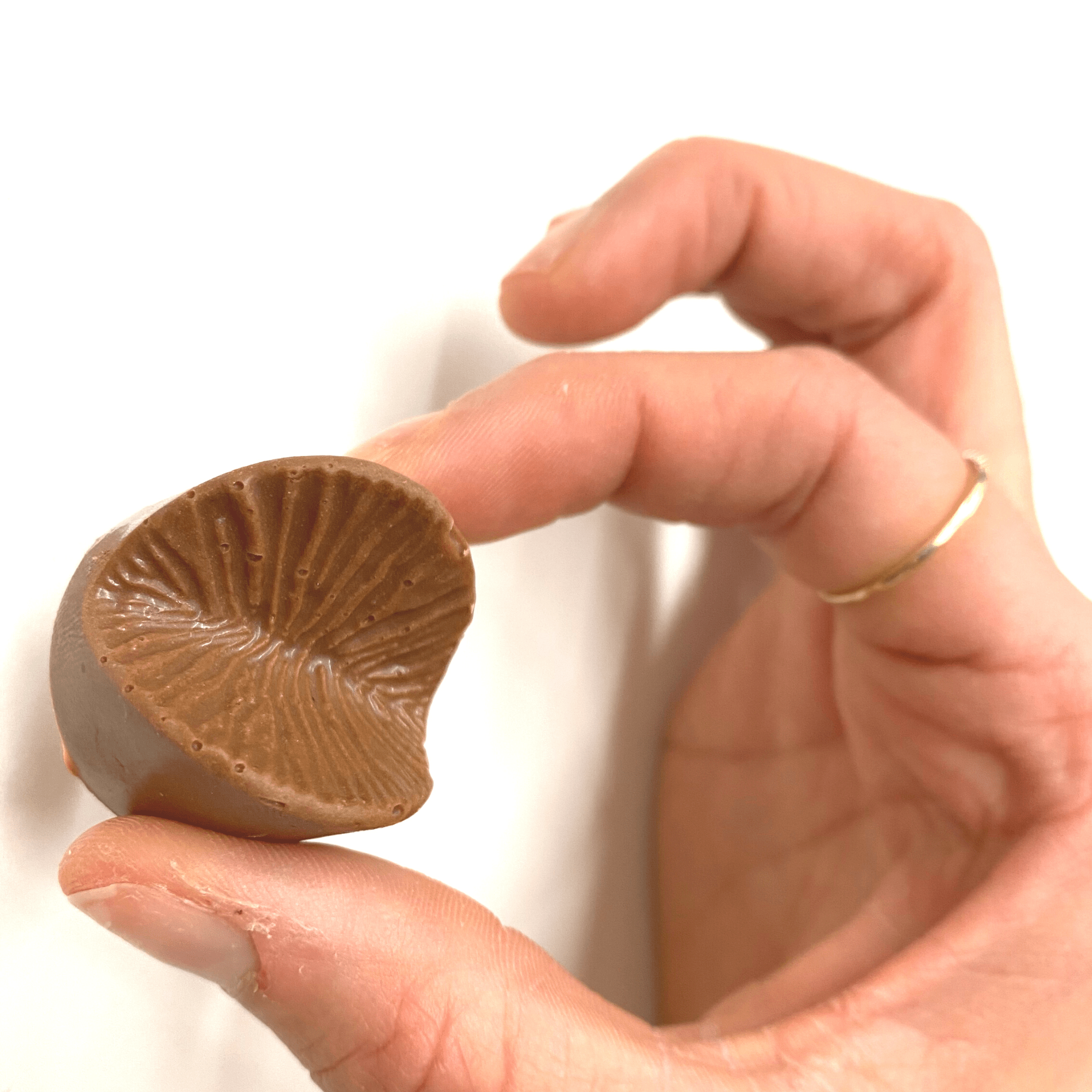 Want to see the sizes? Checkout our Chocolate buttholes here
